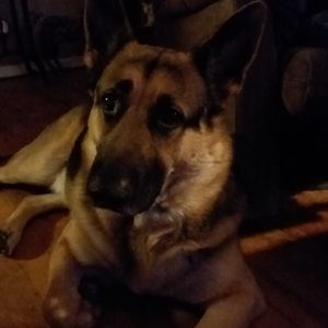 Meet your Posher, Caroline